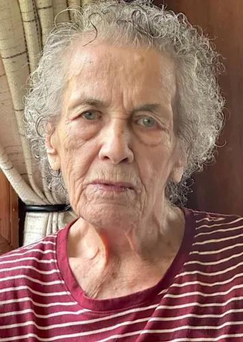 Joanne E. Latta Briggs